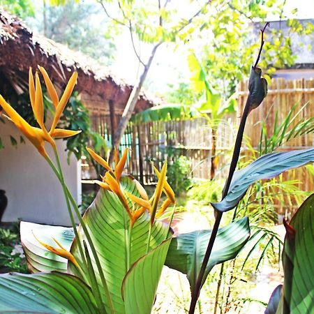 An Bang Purple Homestay Hoi An Exterior photo