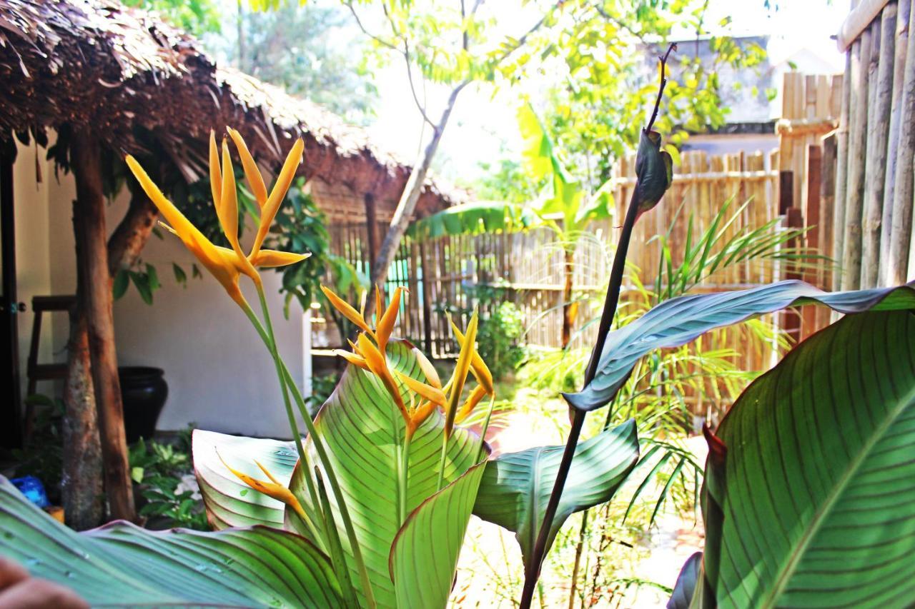 An Bang Purple Homestay Hoi An Exterior photo