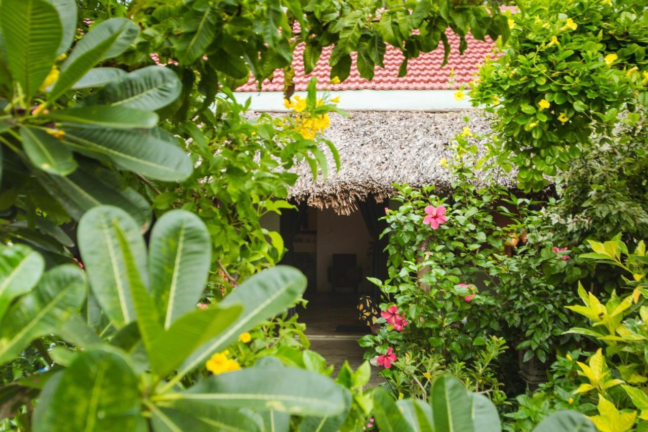 An Bang Purple Homestay Hoi An Exterior photo